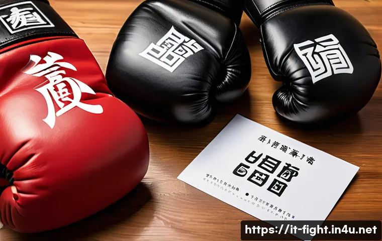 격투기 장비 해외 직구 관련 이미지 1
